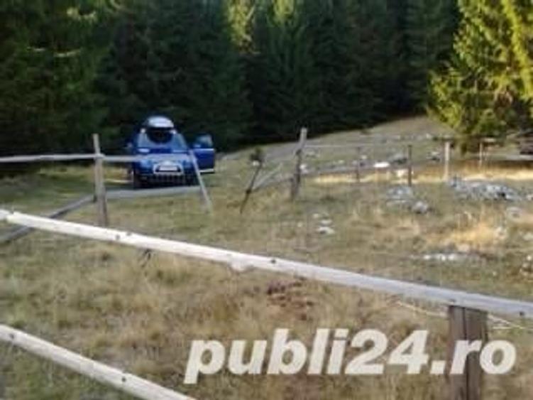 Teren de 1000 mp, în Curtea de Argeș
