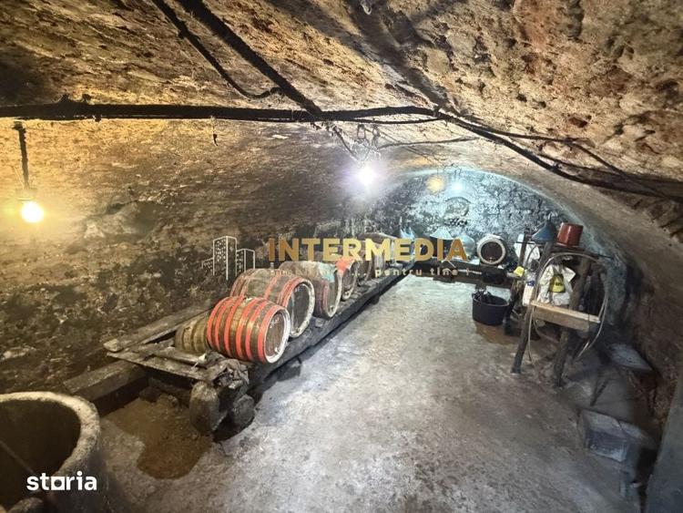 Casă cu 6 camere cu Teren 2709 Mp în Ighiu