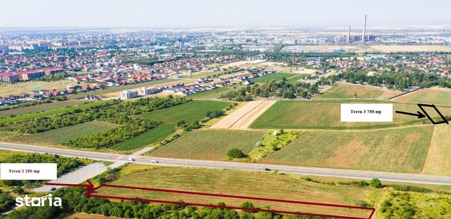 Teren de 1000 mp, în Oncea