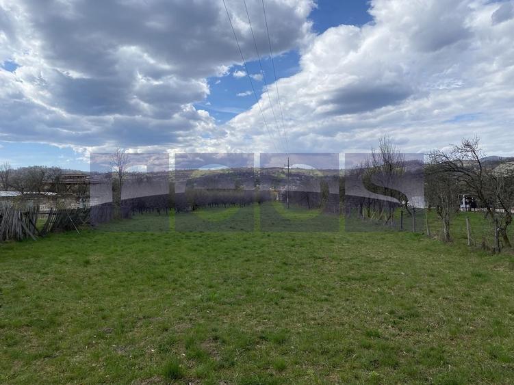 Teren Construcții intravilan de 14200 mp, în Berevoești