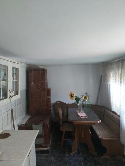 Casă cu 4 camere în Borăscu