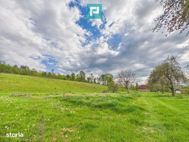 Casă cu 2 camere cu Teren 17681 Mp în Almaș