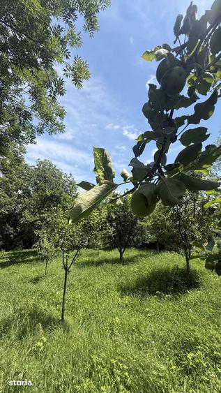 Teren de 2960 mp, în Talea