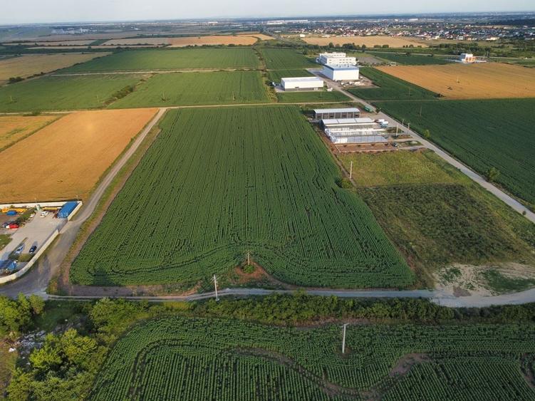Teren Construcții intravilan de 4037 mp, în Giarmata
