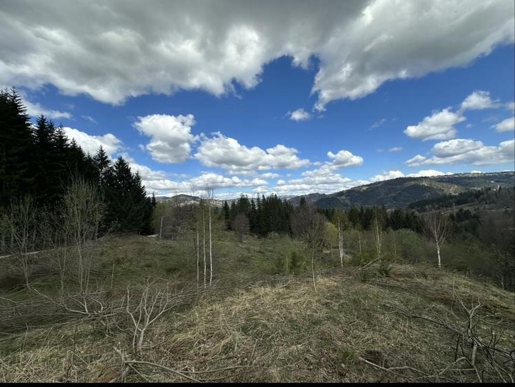 Teren de 14200 mp, în Ceahlău