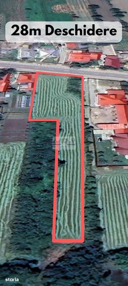 Teren de 3129 mp, în Homocea