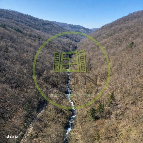 Padure de vanzare in Scheii Brasovului 2 hectare de natura Brasov Sche - 10