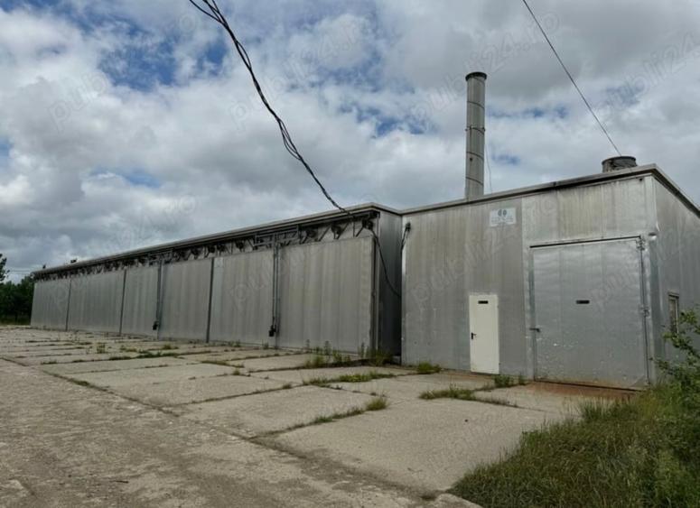 Teren Construcții intravilan de 24152 mp, în Târgu Lăpuș
