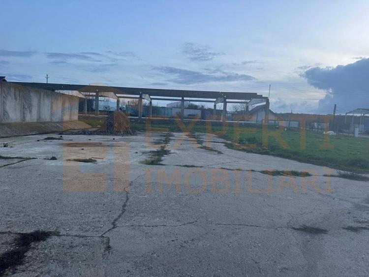 Teren Construcții intravilan de 2697 mp, în Valu lui Traian
