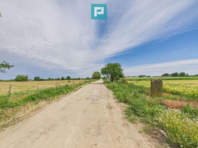 Teren agricol extravilan de 5000 mp, în Gai