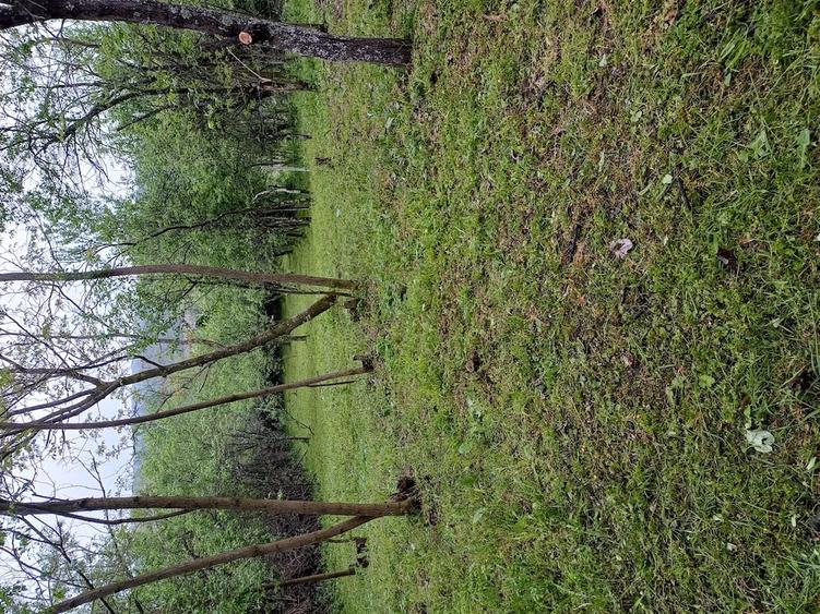 Teren de 1860 mp, în Valea Unghiului