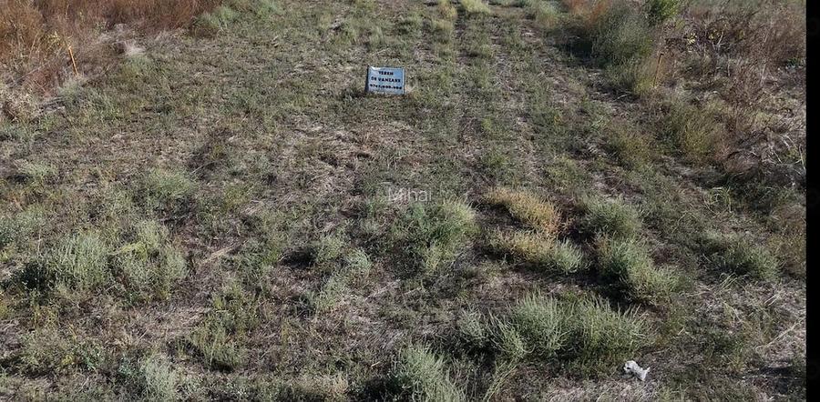 Teren intravilan construibil 770 mp Dara?ti-Ilfov proprietar - utilita?i