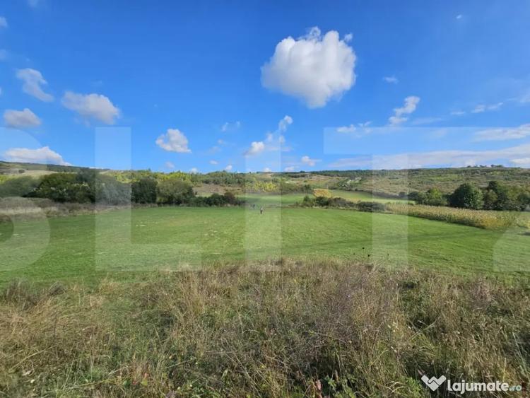 Teren extravilan, 4200 mp, zona Agafton - 1
