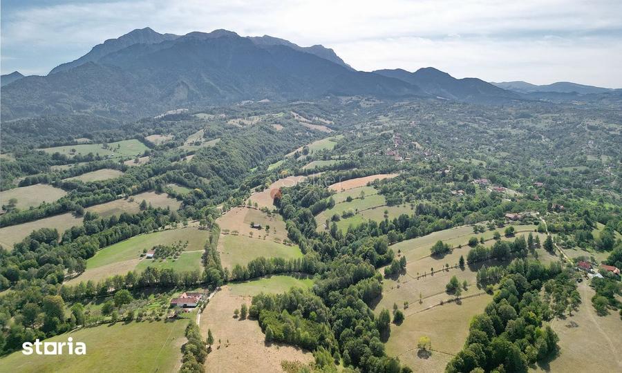 Teren de 10000 mp, în Bran