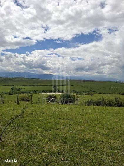 Teren de 11500 mp, în Roșia