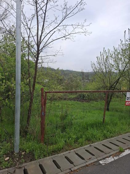 Teren de 3065 mp, în Sărățel