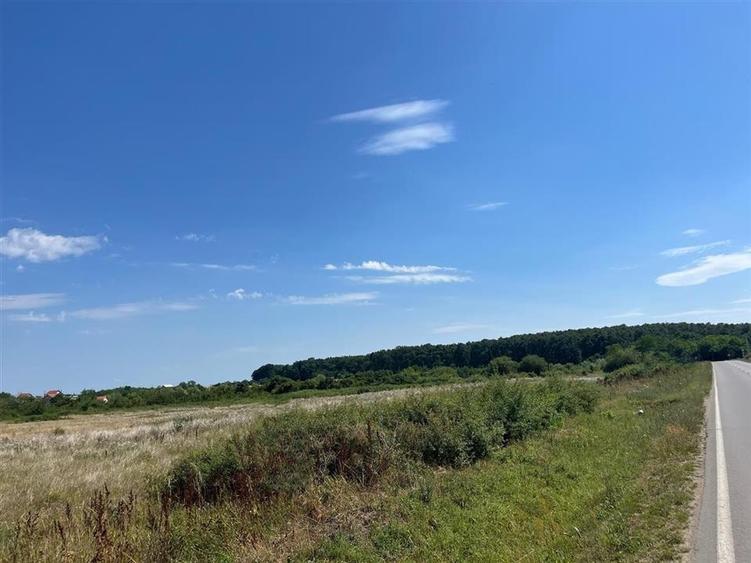Teren Construcții intravilan de 39000 mp, în Leș
