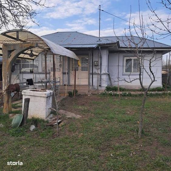 Taren cu casa de vanzare - 3