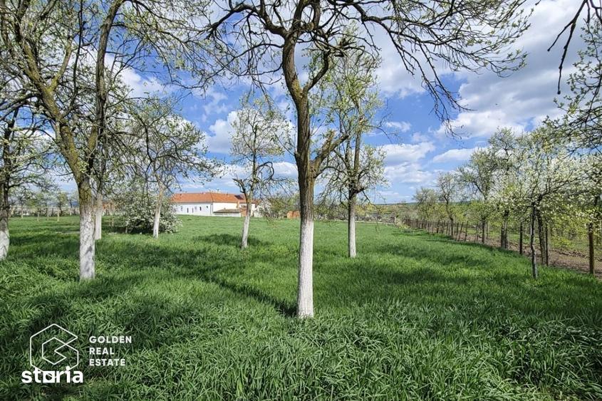 Casă cu 2 camere cu Teren 1170 Mp în Zăbrani