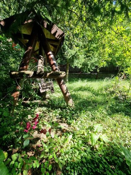 Casă individuală cu 3 camere cu Teren 5000 Mp în Plaiu (Provița de Sus)