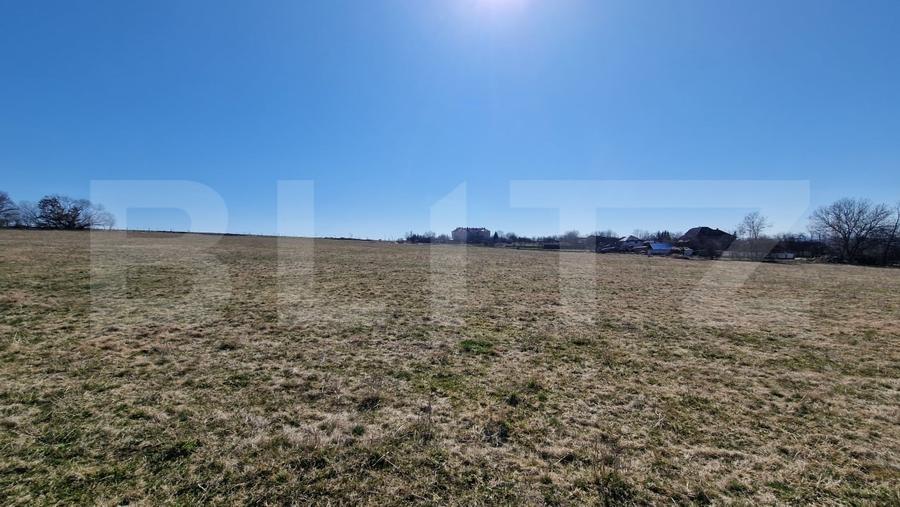 Teren Construcții intravilan de 30724 mp, în Jucu de Sus