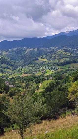 Teren intravilan Magura, Brasov