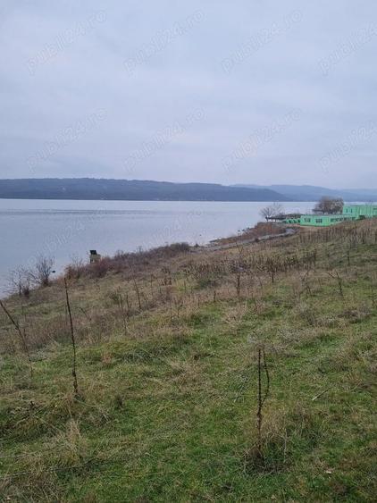 Teren de 5000 mp, în Burila Mare