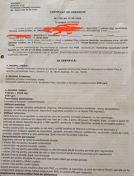 Spațiu comercial, în Pata