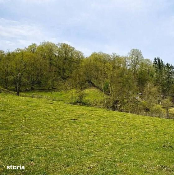Teren de 1688 mp, în Vișinești
