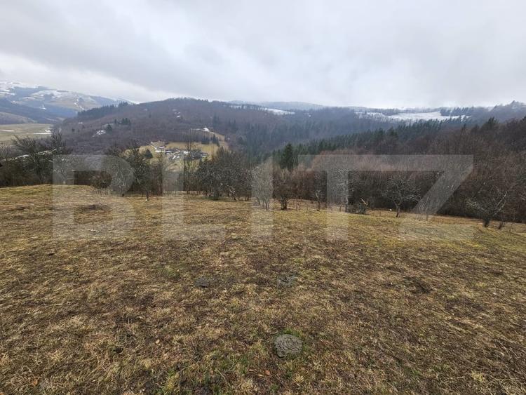 Teren Construcții extravilan de 7513 mp, în Dăroaia
