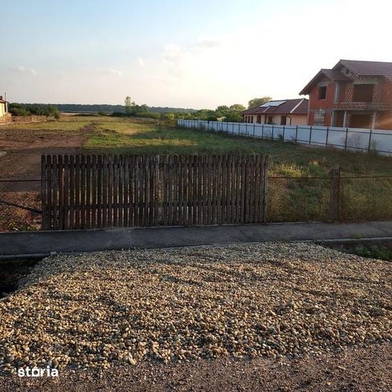 Teren Dorolt Satu Mare - 2