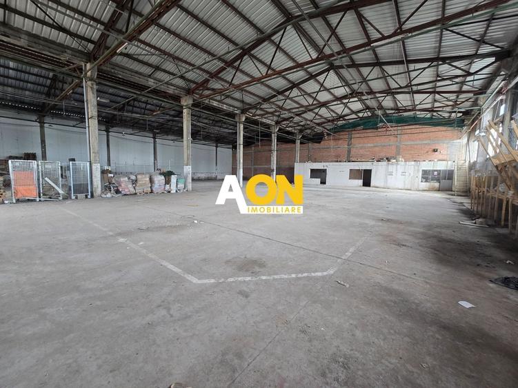 Spațiu industrial, de 900 mp, în Bărăbanț