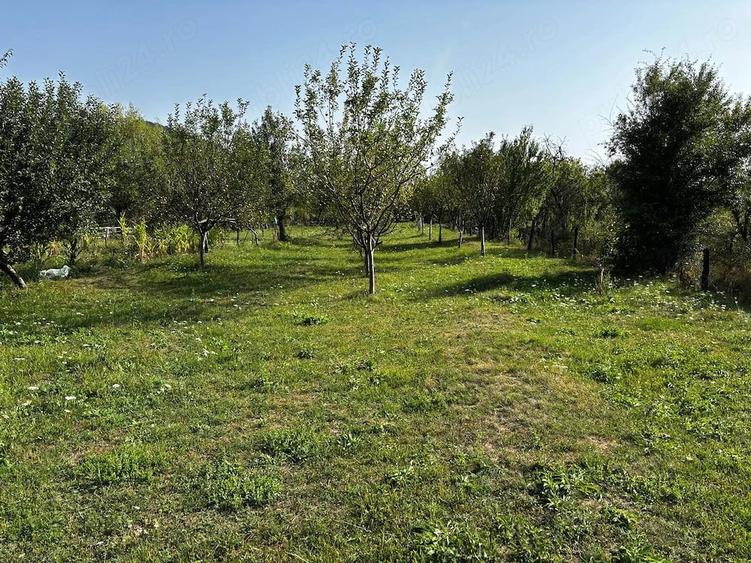 Teren de 6563 mp, în Corbșori