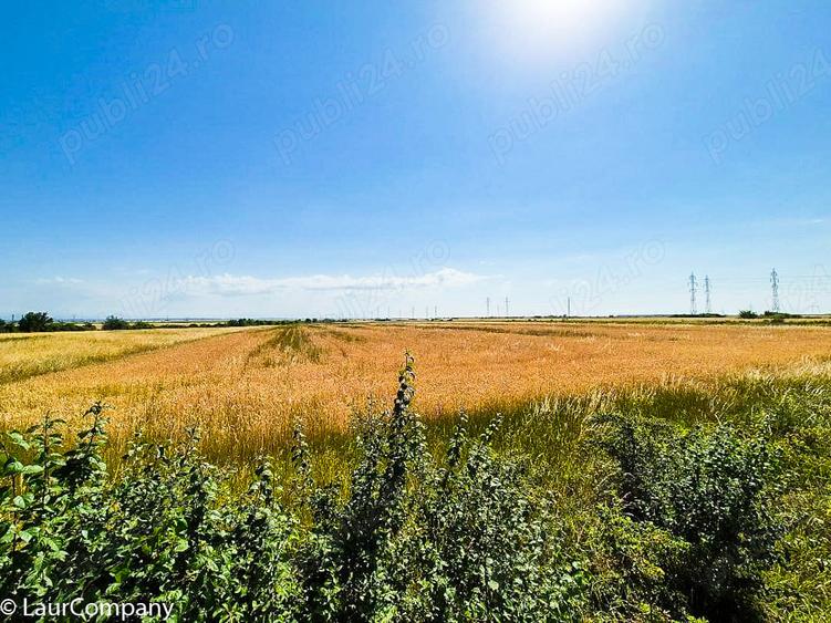 Teren de 75000 mp, în Costești