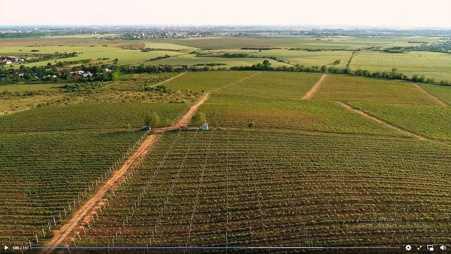 Teren de 165000 mp, în Pleașa