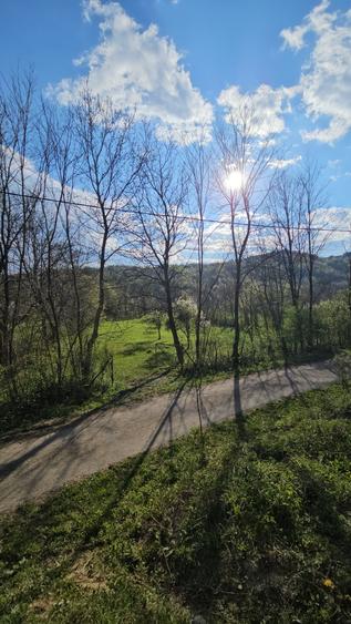 Teren Construcții intravilan de 1800 mp, în Brebu Megieșesc