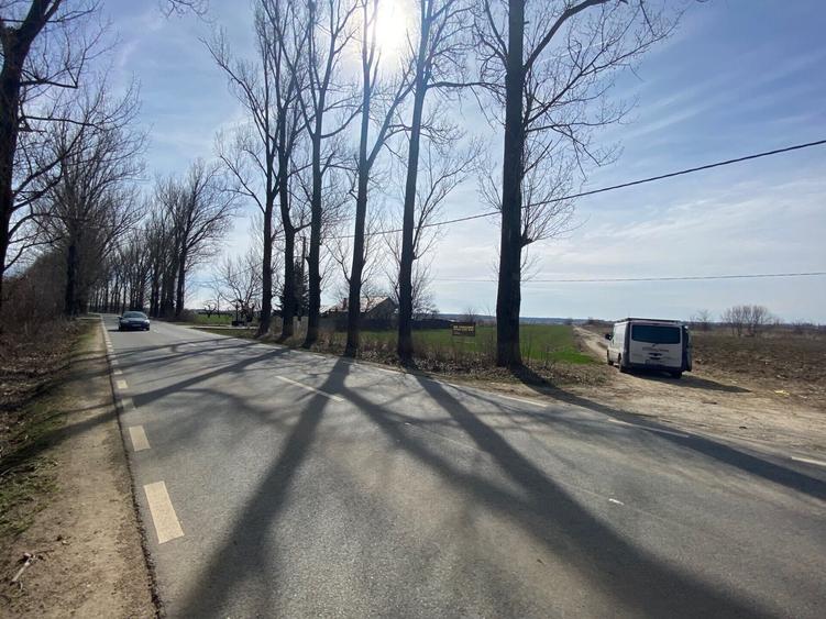 Teren Construcții intravilan de 5000 mp, în Snagov