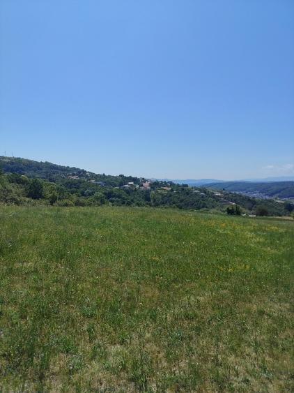 Teren agricol extravilan de 7300 mp, în Baciu