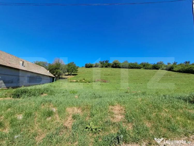 Oportunitate Investi?ie: Teren Intravilan 9600 MP in Zona - 1
