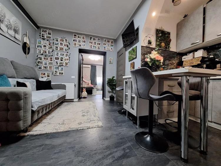 Apartament cu 2 camere semidecomandat în Take Ionescu