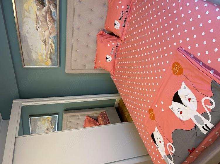 Apartament cu 3 camere decomandat în Universitate