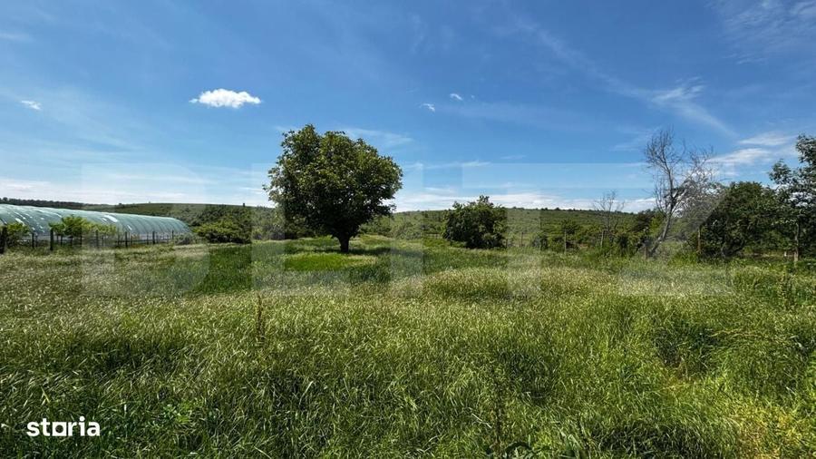 Casă cu 4 camere în Balota de Jos