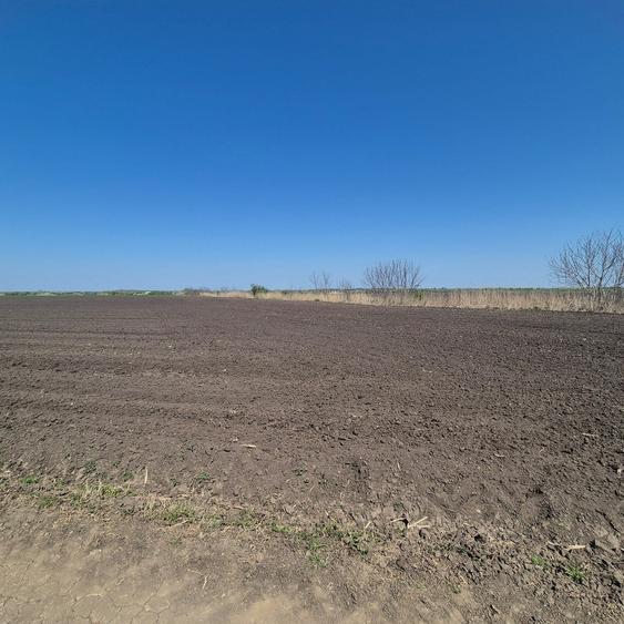 Teren în Grădiștea