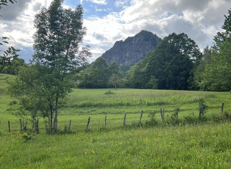 Teren de 5724 mp, în Hărțăgani