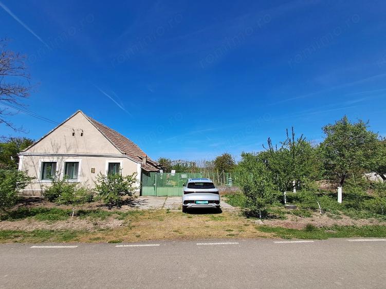 Valcani, proprietate cu casa taraneasca - 5
