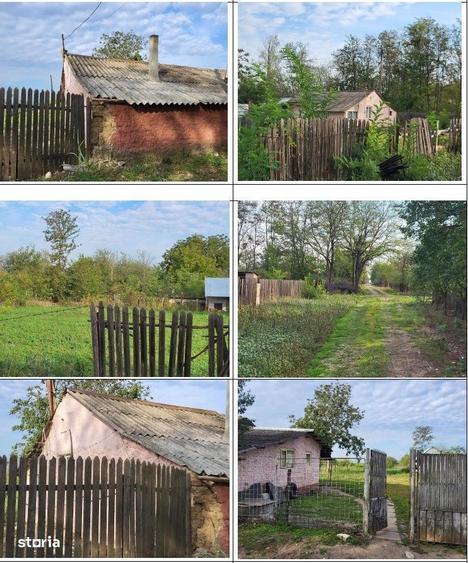 Casă cu 3 camere în Câmpeni