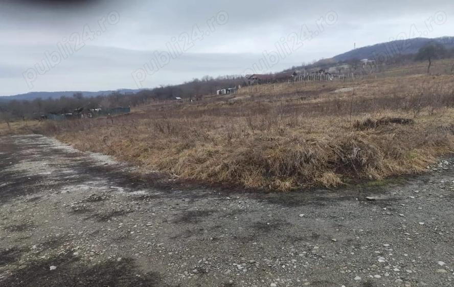 Teren de 5500 mp, în Central