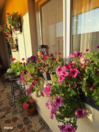 Apartament cu 4 camere în Micălaca