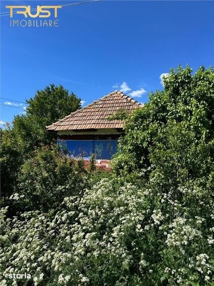 Casă cu 1 camere cu Teren 3600 Mp în Cojocna
