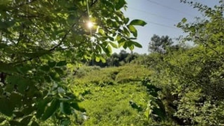 Teren de 3700 mp, în Vâlcănești